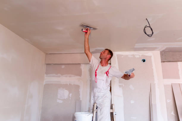 Best Drywall Removal and Disposal  in Biscoe, NC